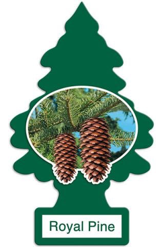 LITTLE TREES ROYAL PINE